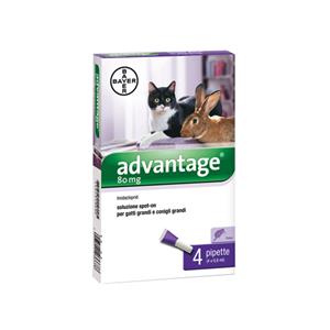 Antiparassitari Bayer Advantage Spot On 80 gatti