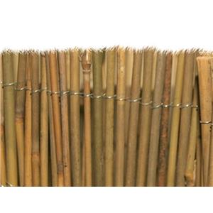 Arelle Brixo Mister bamboo