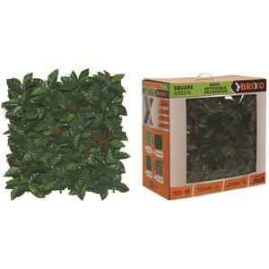 Siepi Squaregreen Brixo Platano Conf. 3 MQ