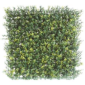 Siepi Squaregreen Brixo Bosso Conf. 2,5 MQ
