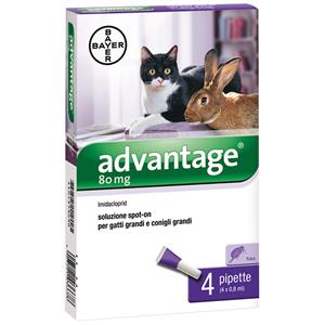 Antiparassitari Bayer Advantage Spot On 80 gatti